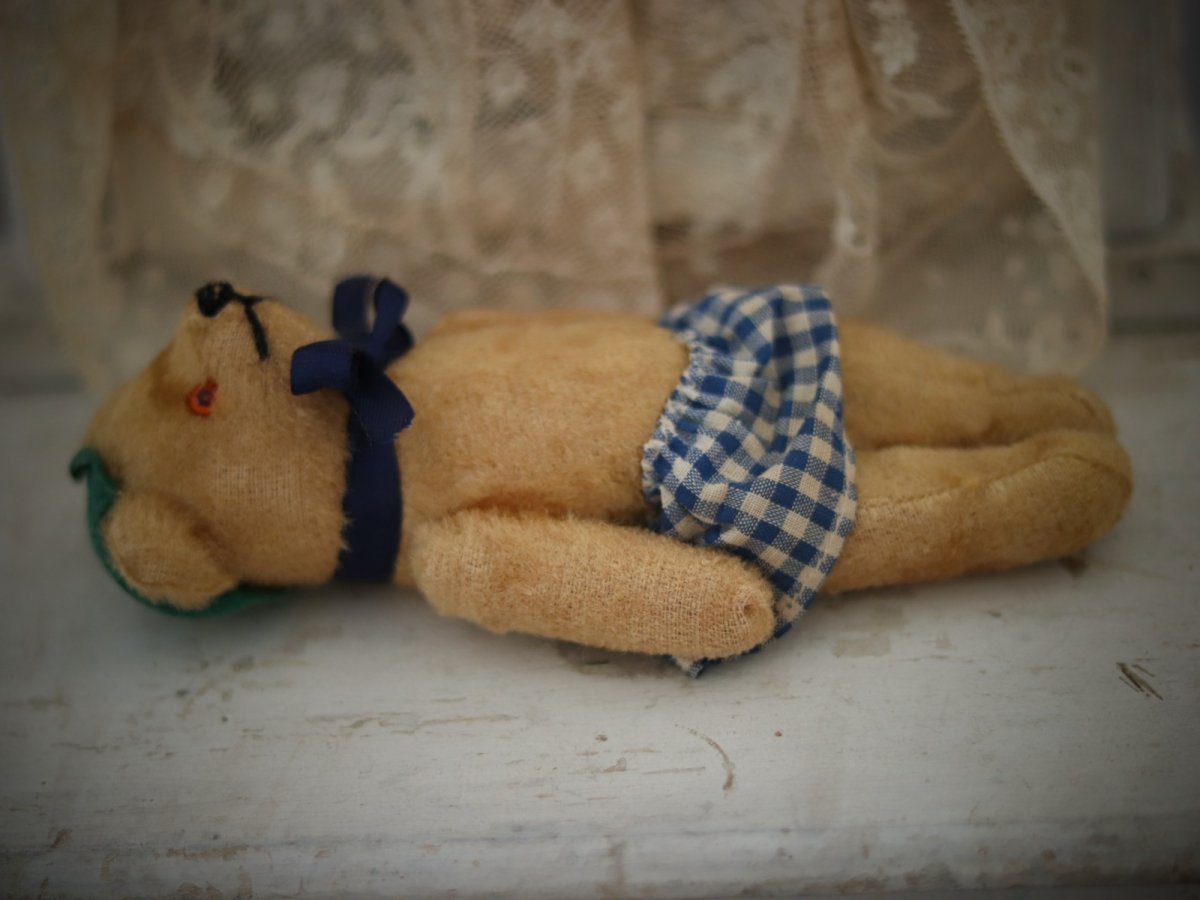 画像8: peanuts bear (8)