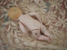 画像10: all bisque mignonette //3.5in (10)