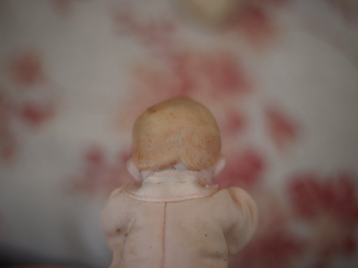 画像9: all bisque mignonette //3.5in (9)