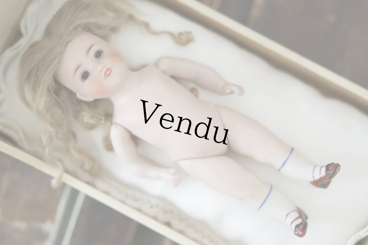 画像7: Kestner all bisque /7in (7)