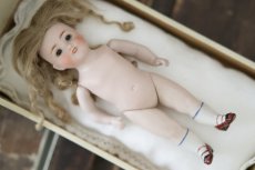 画像7: Kestner all bisque /7in (7)