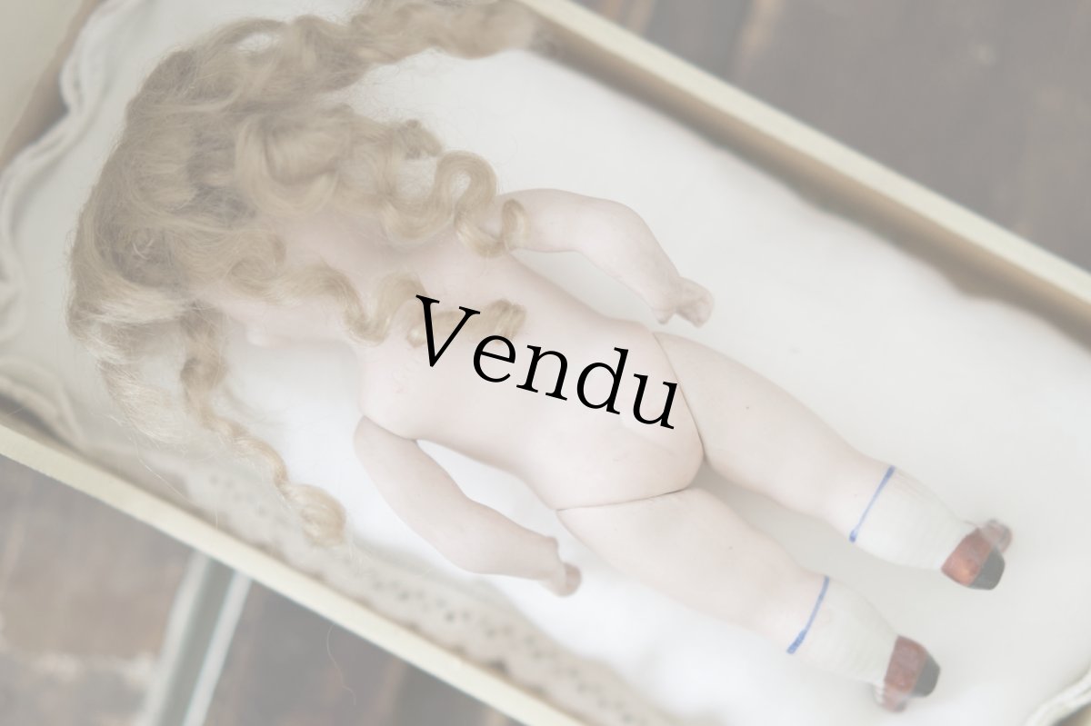 画像8: Kestner all bisque /7in (8)