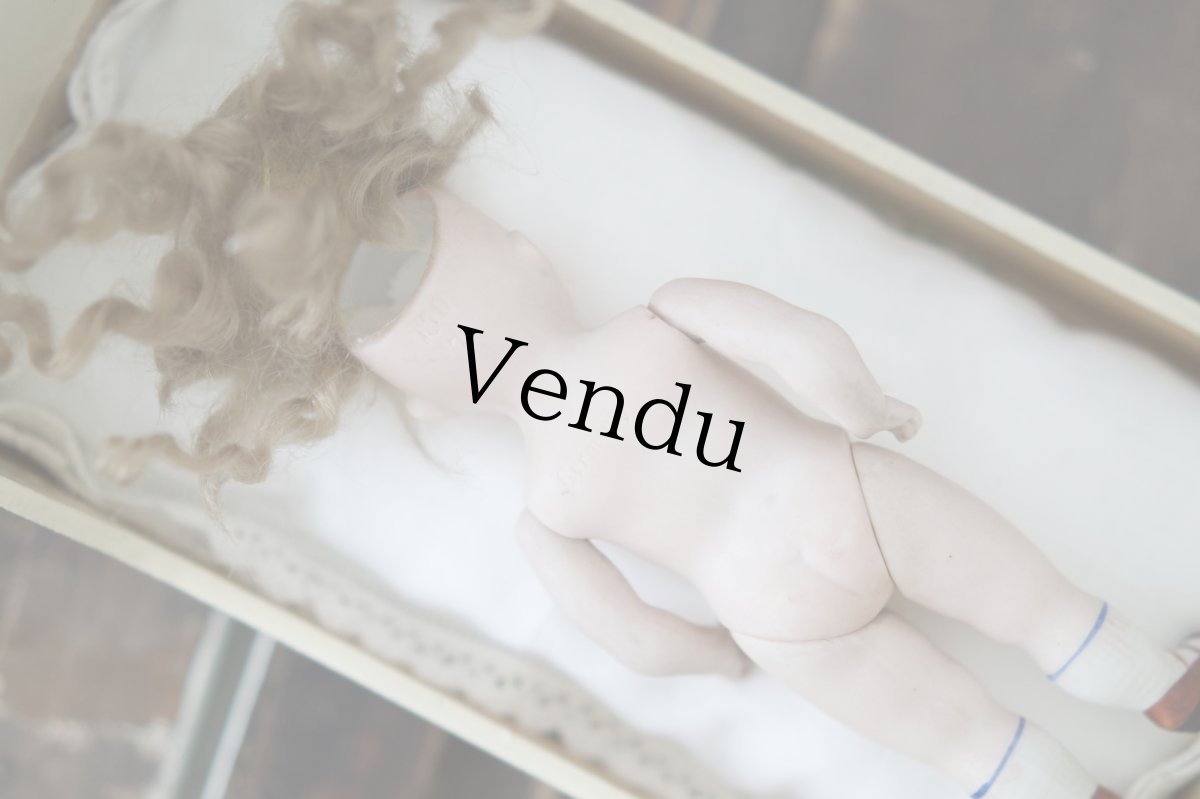 画像9: Kestner all bisque /7in (9)