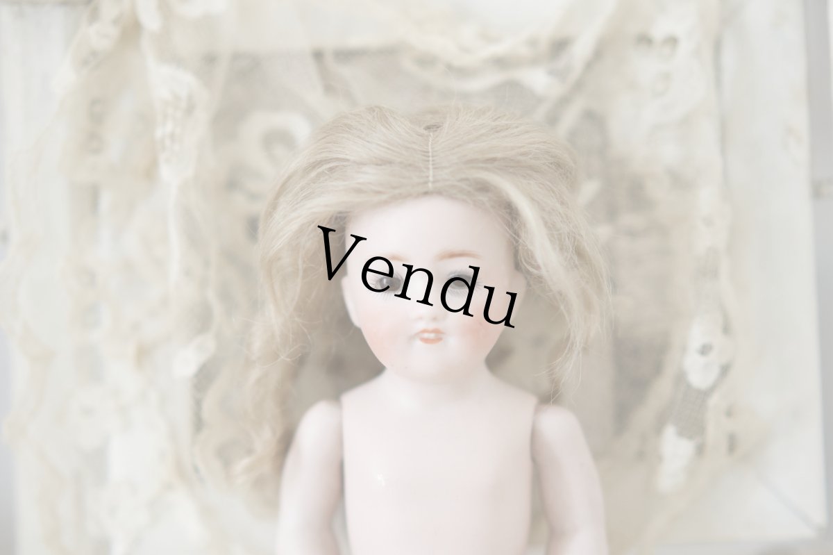 画像4: Kestner all bisque /7in (4)