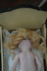 画像10: Kestner all bisque // Sleep eyes // Blue socks //7.5in (10)