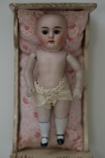 画像8: Kestner all bisque // 6.5in (8)