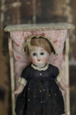 画像4: mignonette // Geo.Borgfeldt&Co. // 5.5in (4)