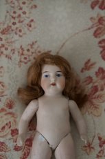 画像8: mignonette // 6in  (8)
