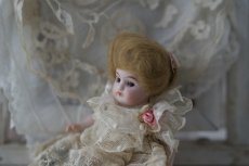 画像6: mignonette // 5.5in (6)
