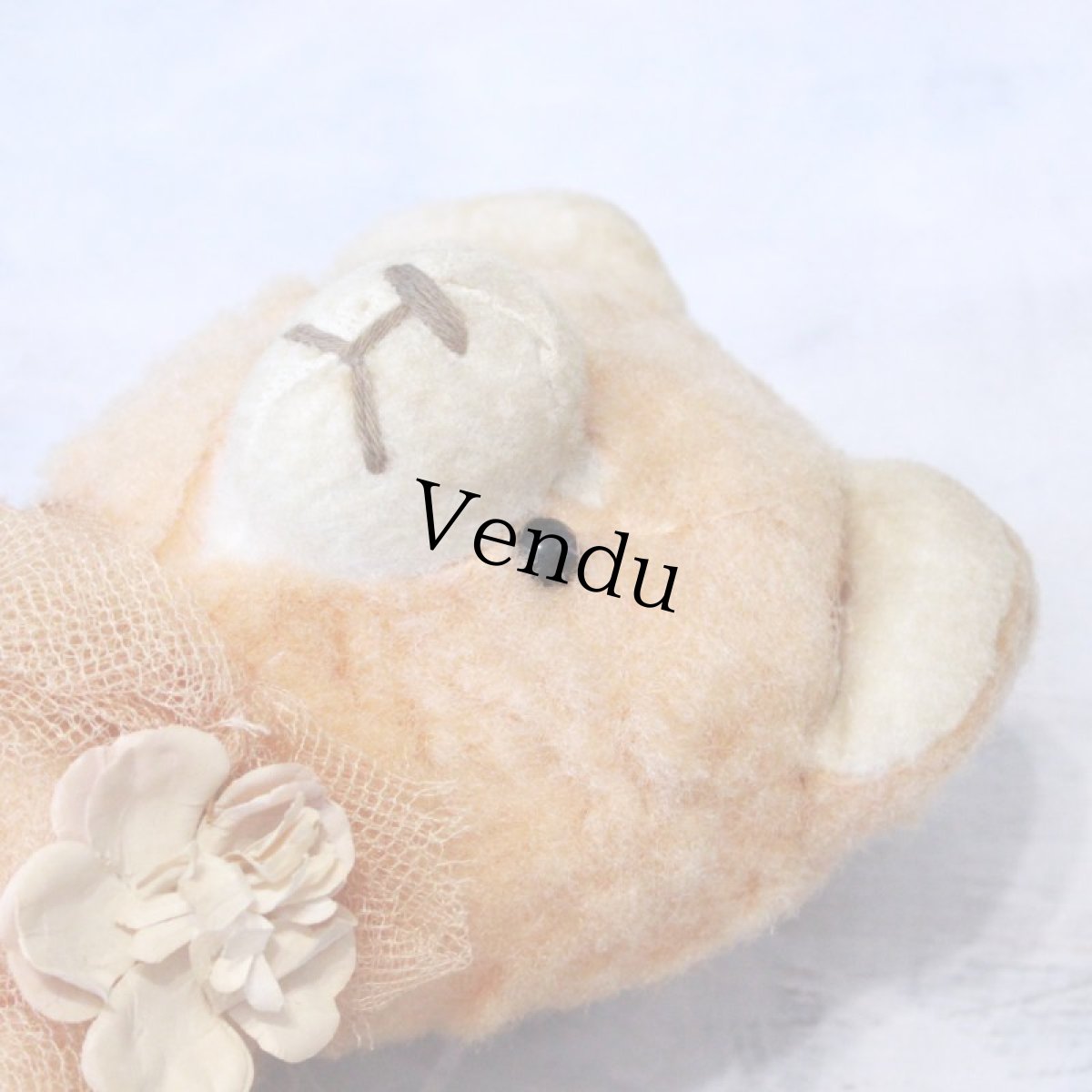 画像5: アプリコットベア (5)