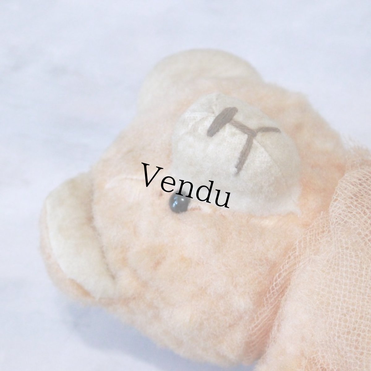 画像6: アプリコットベア (6)