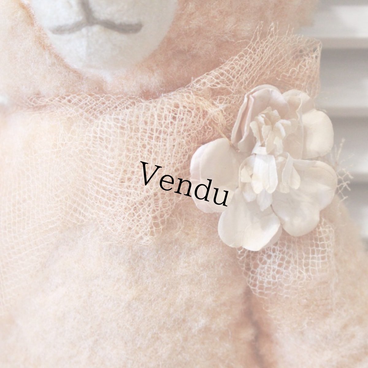 画像4: アプリコットベア (4)