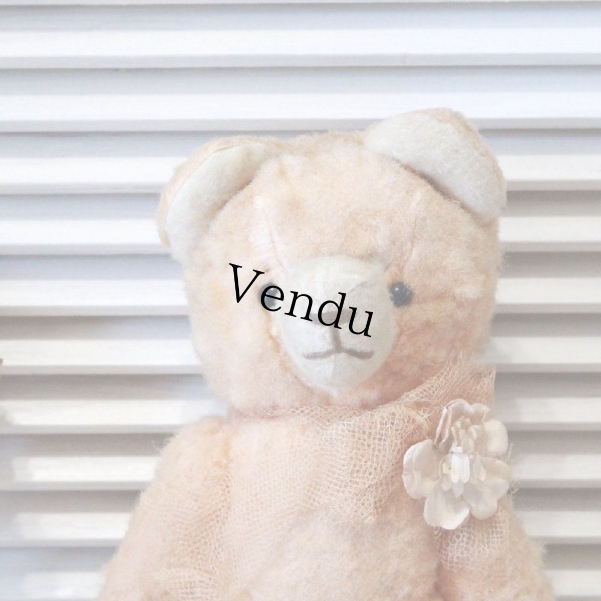 画像2: アプリコットベア (2)