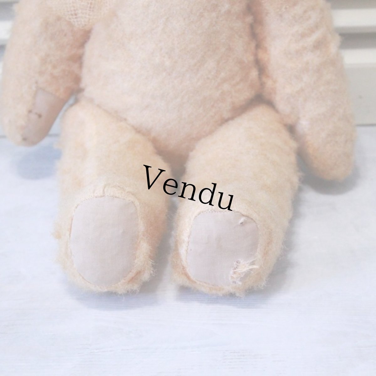 画像3: アプリコットベア (3)