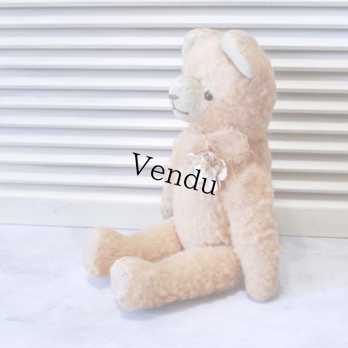 画像8: アプリコットベア (8)