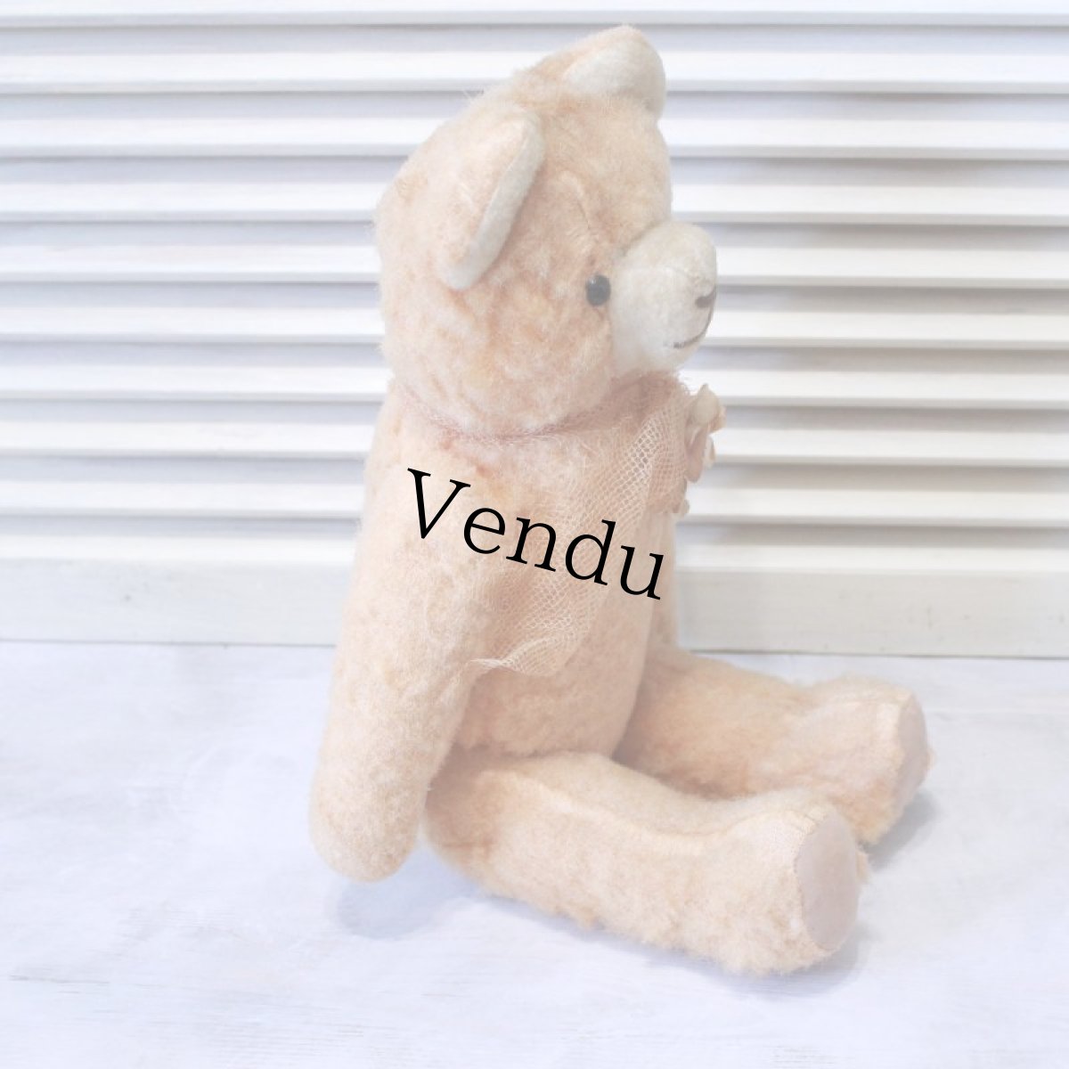 画像7: アプリコットベア (7)