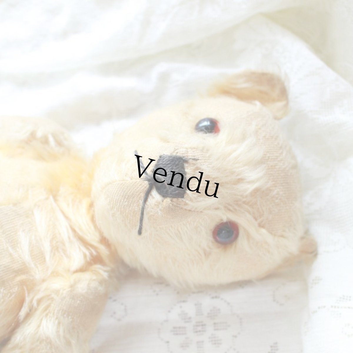 画像7: アンティークテディベア (7)