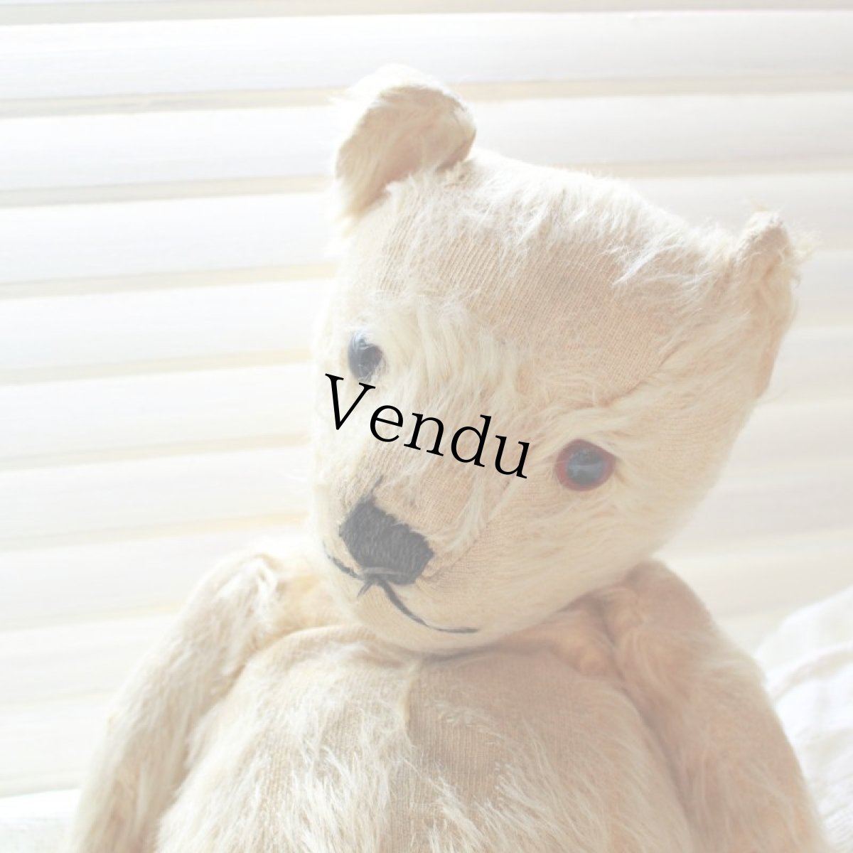 画像2: アンティークテディベア (2)