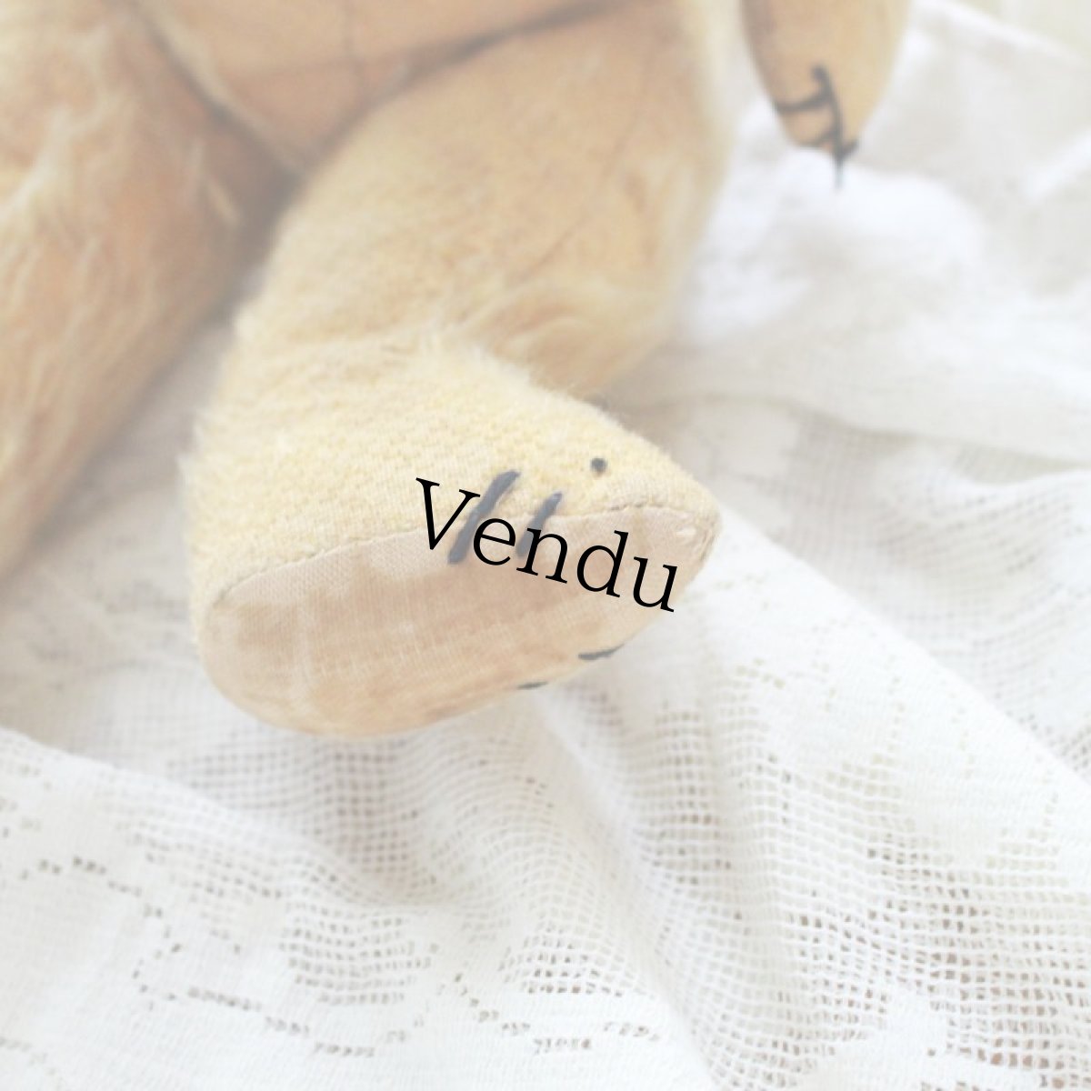 画像10: アンティークテディベア＊ (10)