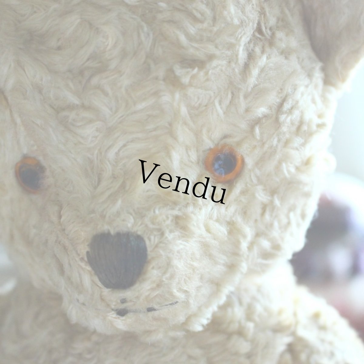 画像2: アンティークテディベア (2)