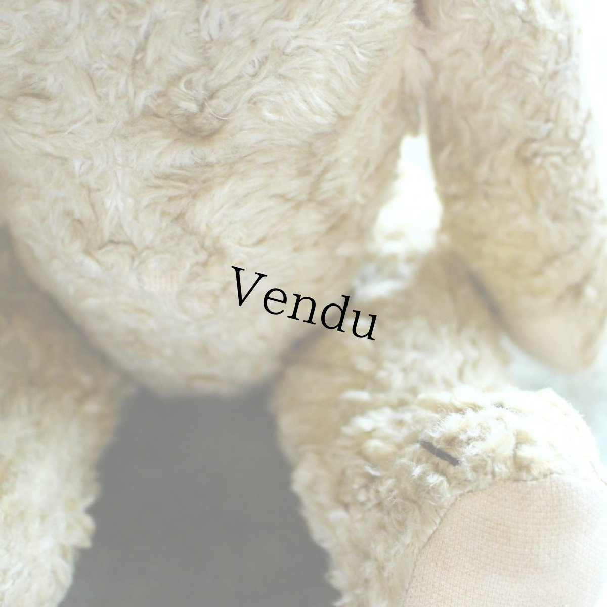 画像5: アンティークテディベア (5)