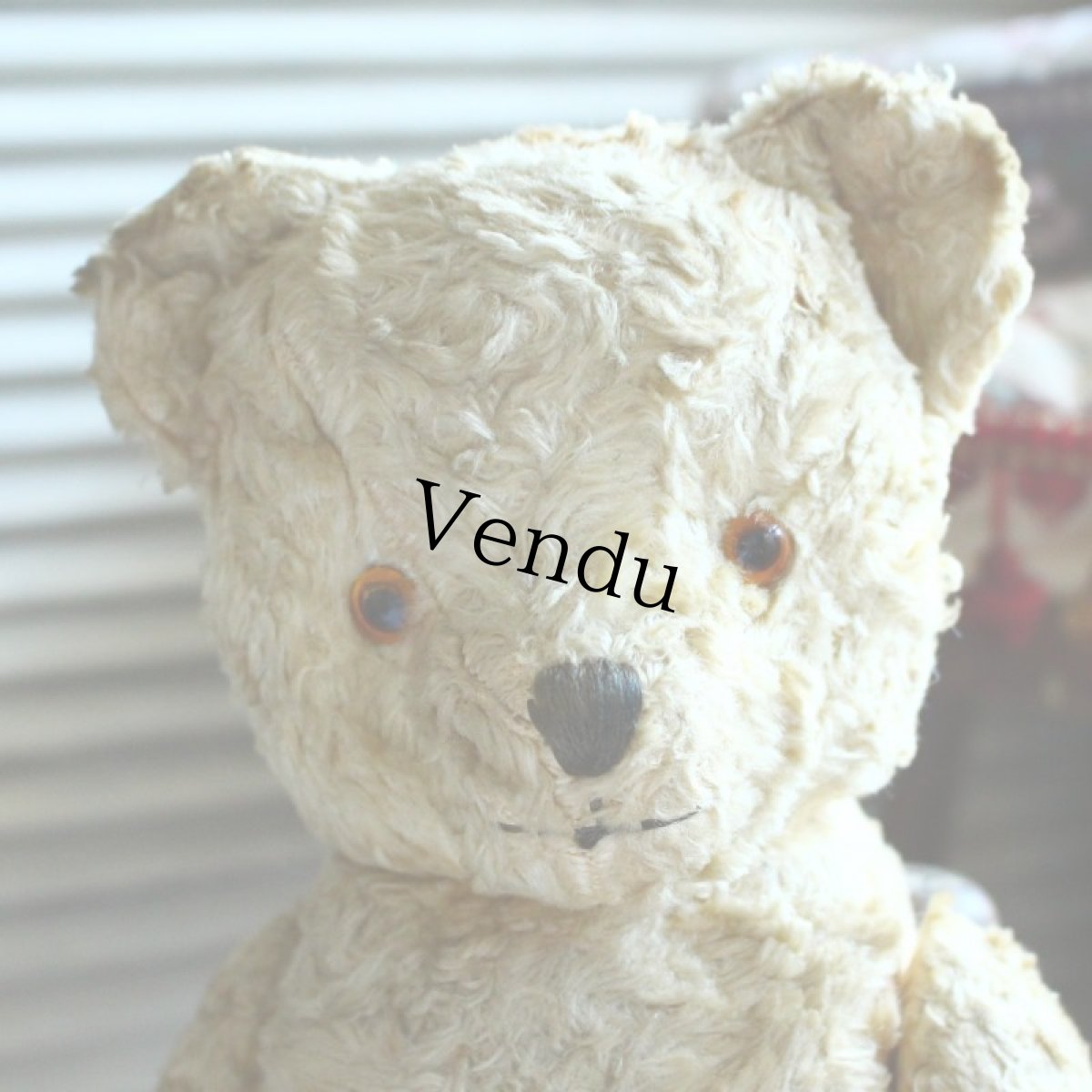 画像9: アンティークテディベア (9)