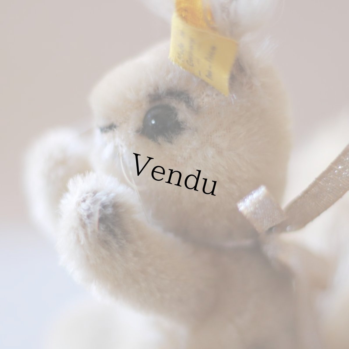 画像7: Steiff POSSY /Cream Color (7)