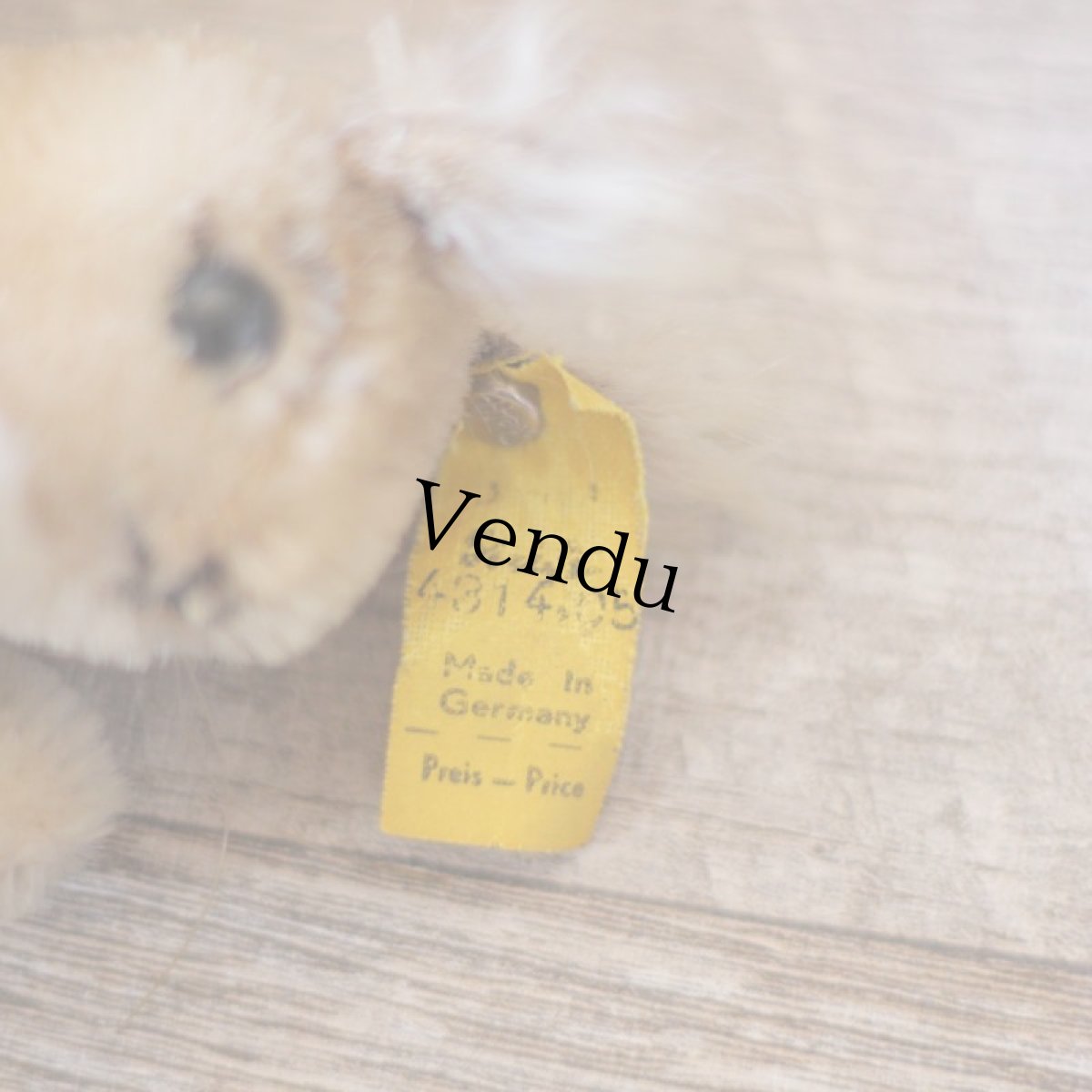 画像8: Steiff POSSY /Cream Color (8)