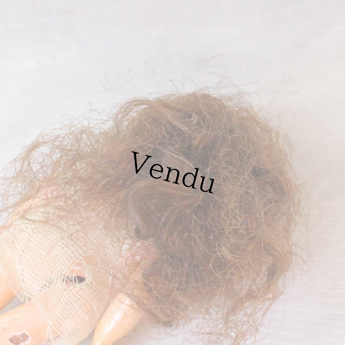 画像5: コンポジションボディ ミニョネット French＊ (5)