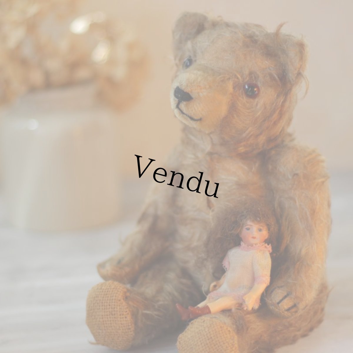 画像8: コンポジションボディ ミニョネット French＊ (8)