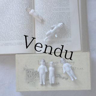 フローズンシャーロット - Antique toricoTte