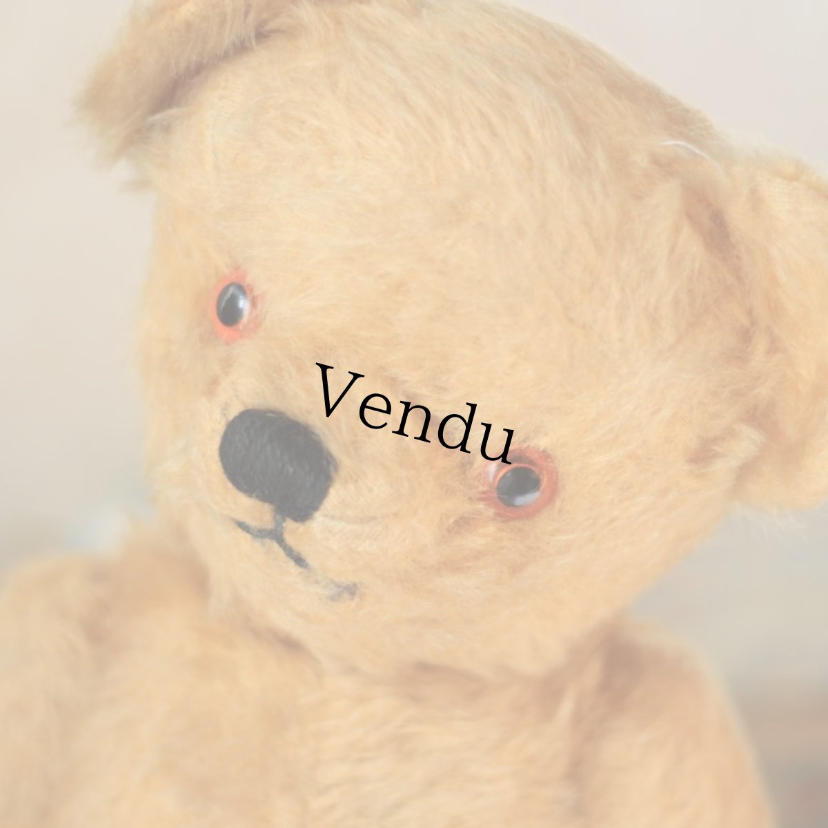 画像3: Chad Valley Teddy Bear (3)