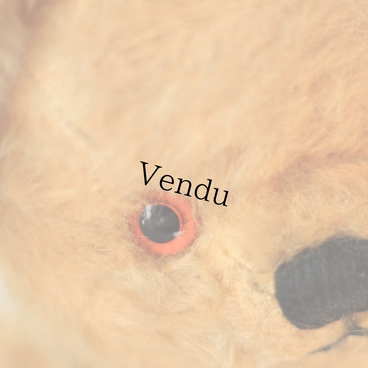 画像5: Chad Valley Teddy Bear (5)