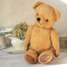 画像1: Chad Valley Teddy Bear (1)