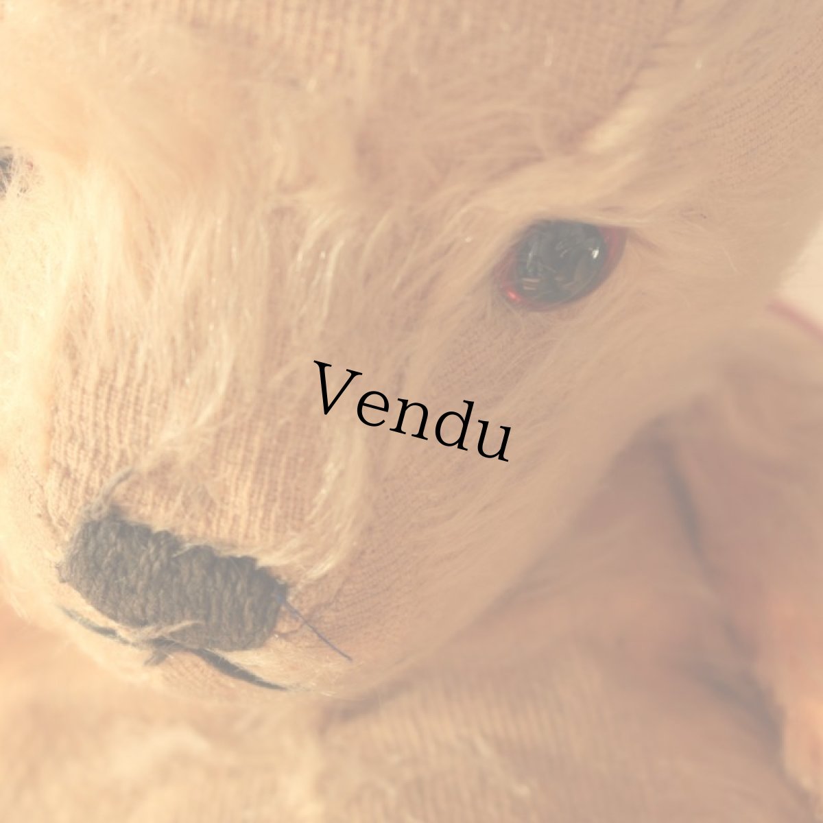 画像18: アンティークテディベア (18)