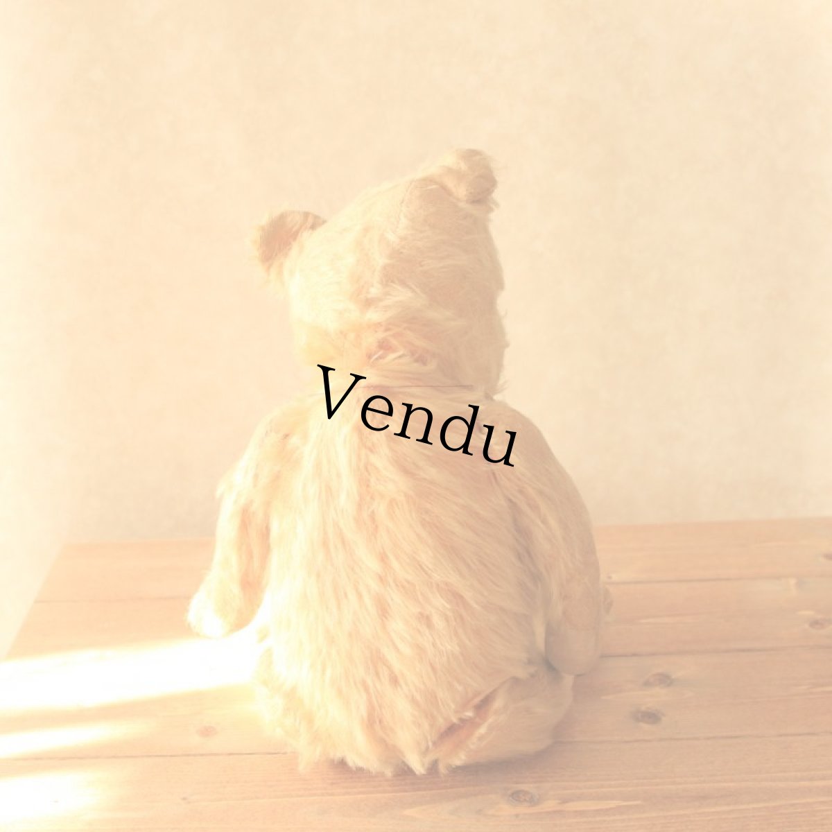 画像8: アンティークテディベア (8)