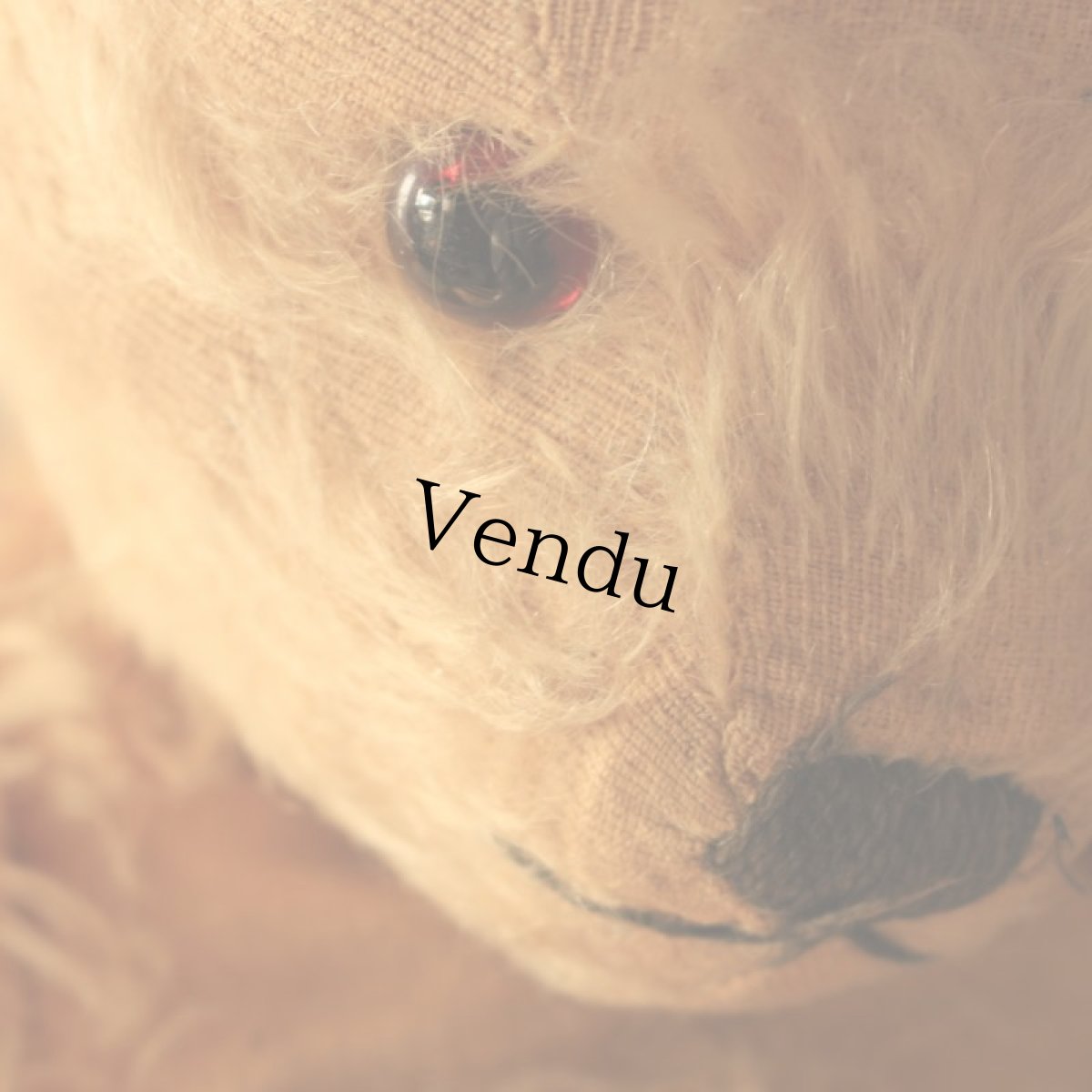 画像19: アンティークテディベア (19)