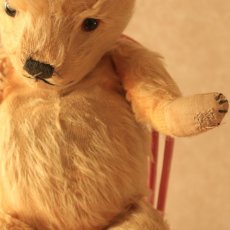 画像17: アンティークテディベア (17)