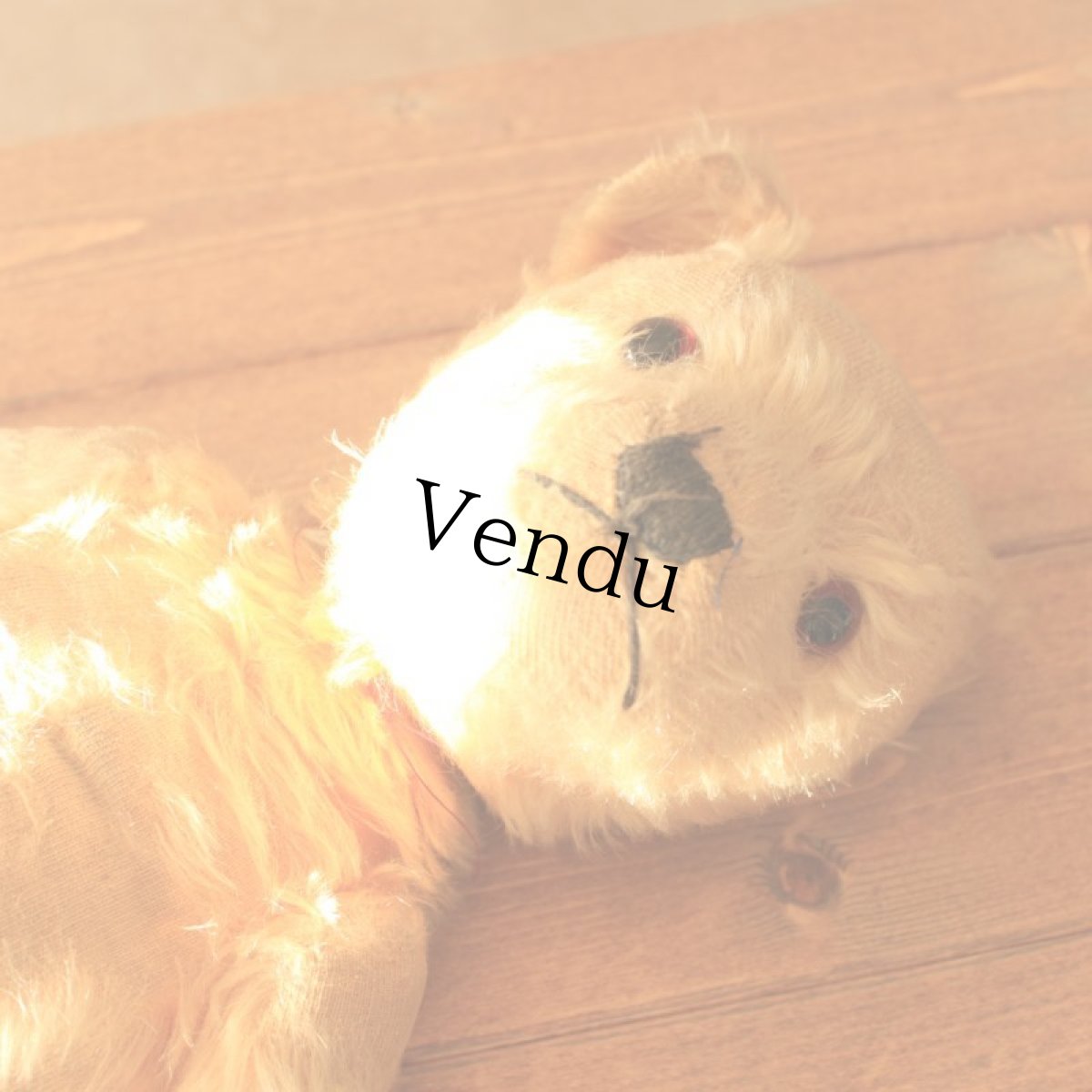 画像12: アンティークテディベア (12)