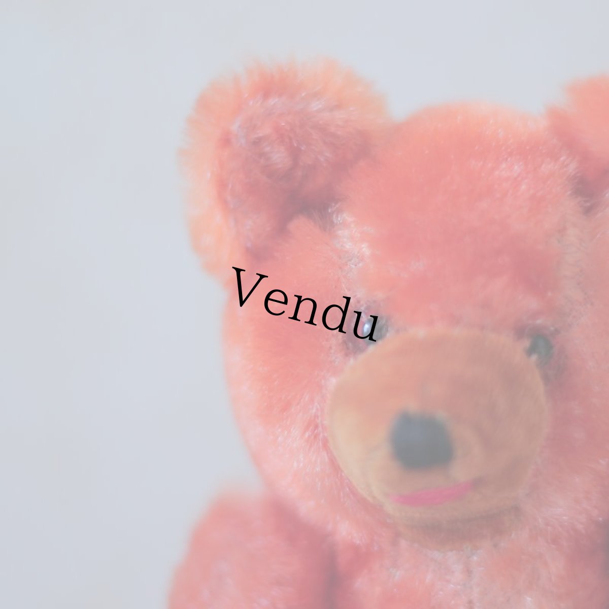 画像4: Orange Bear (4)