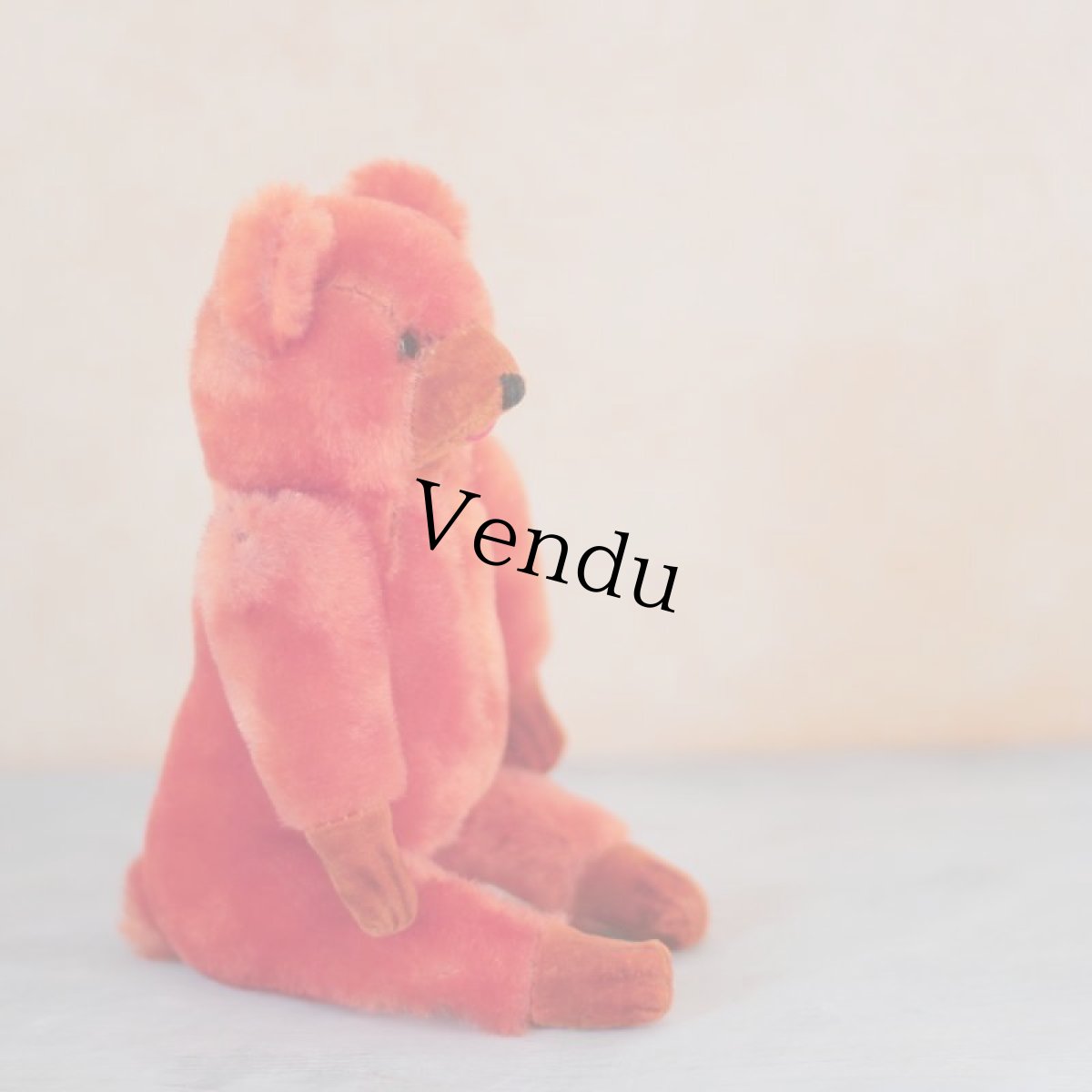 画像7: Orange Bear (7)