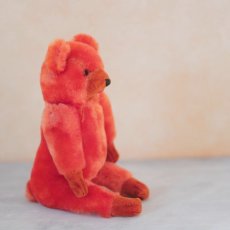 画像7: Orange Bear (7)