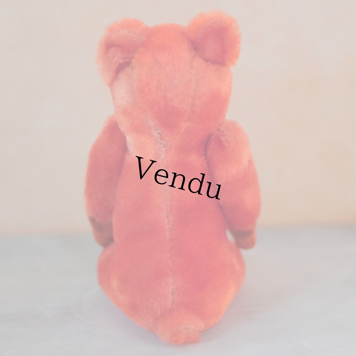 画像6: Orange Bear (6)