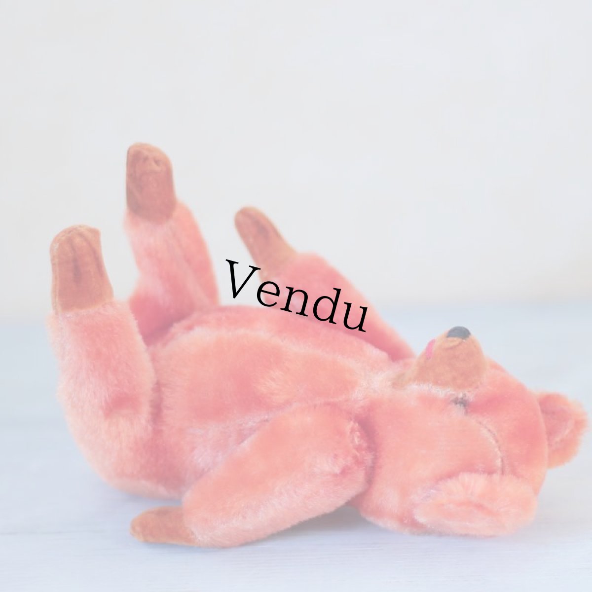 画像9: Orange Bear (9)