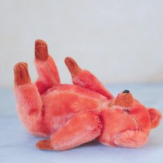 画像9: Orange Bear (9)