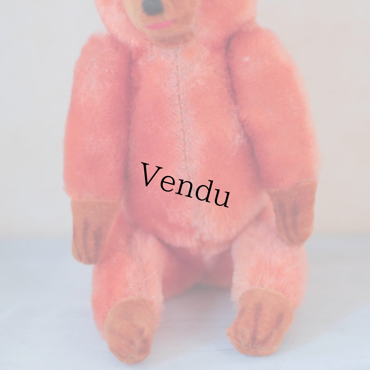 画像5: Orange Bear (5)