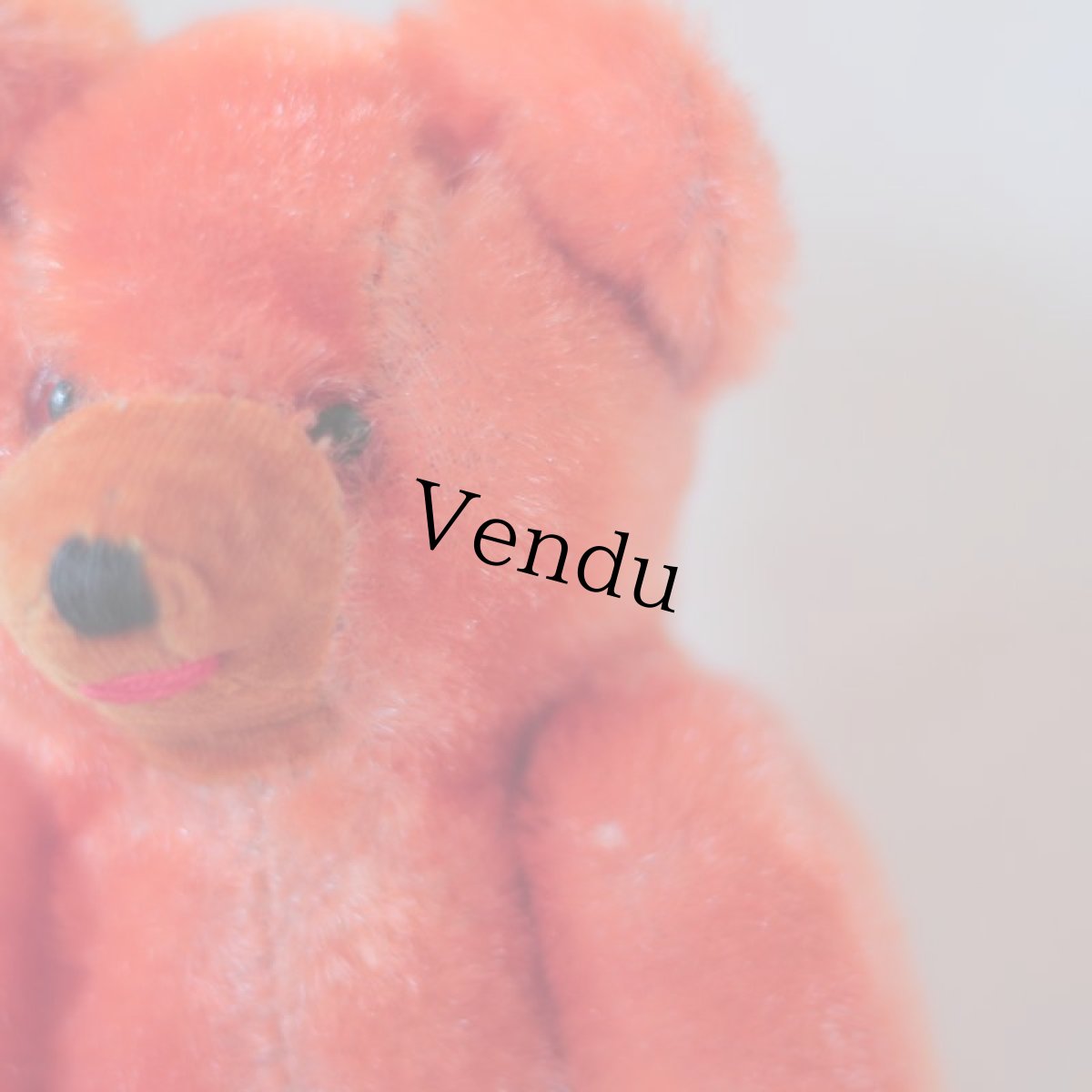 画像3: Orange Bear (3)