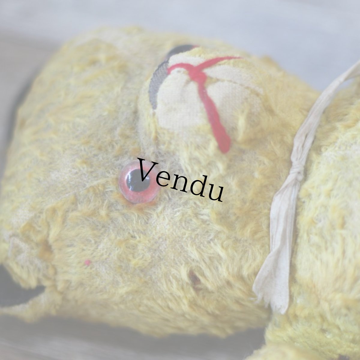 画像11: French SOOTY Bear (11)