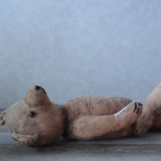 画像10: イギリス　アンティークベア (10)