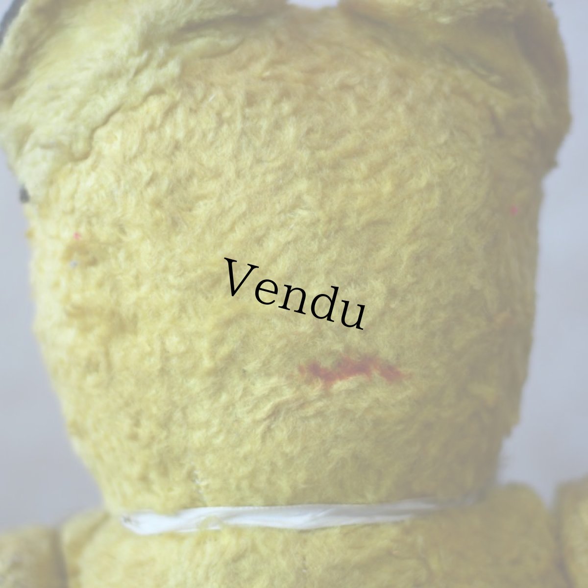 画像8: French SOOTY Bear (8)